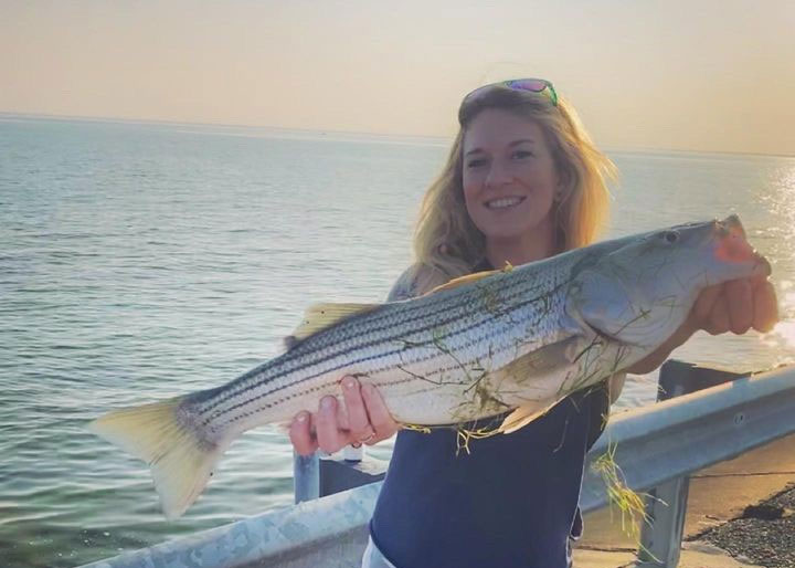 nice rockfish from the tangier sound area