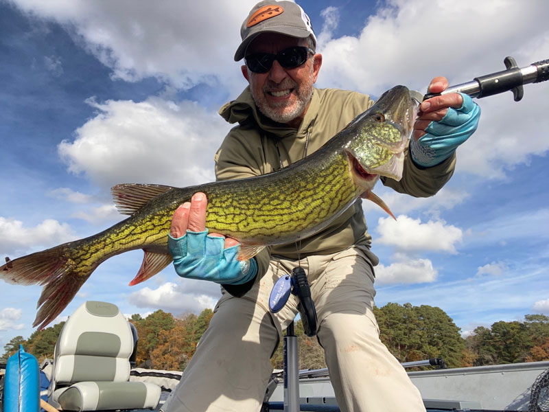 nice winter pickerel