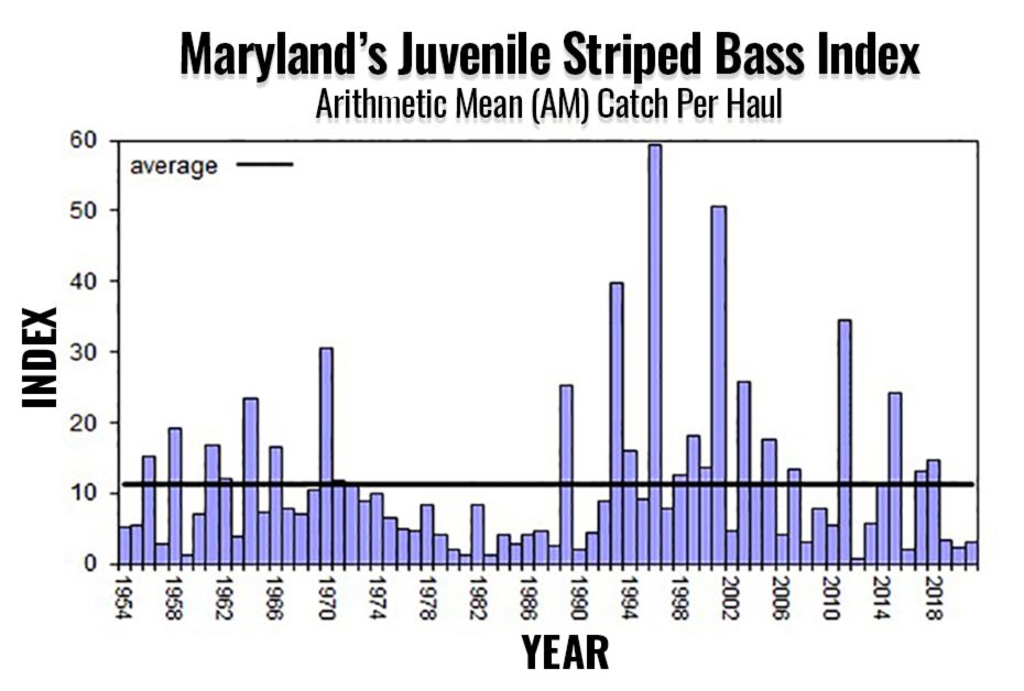 striped bass spawning success graph