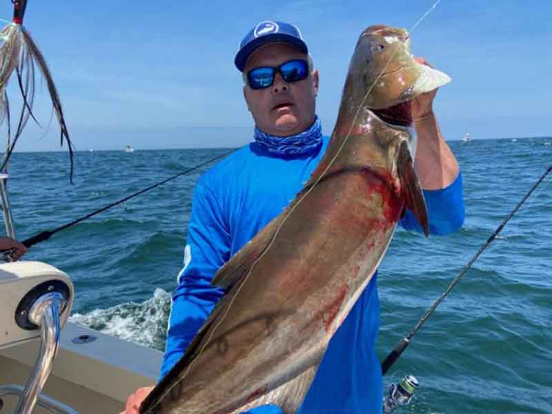 cobia fishing success