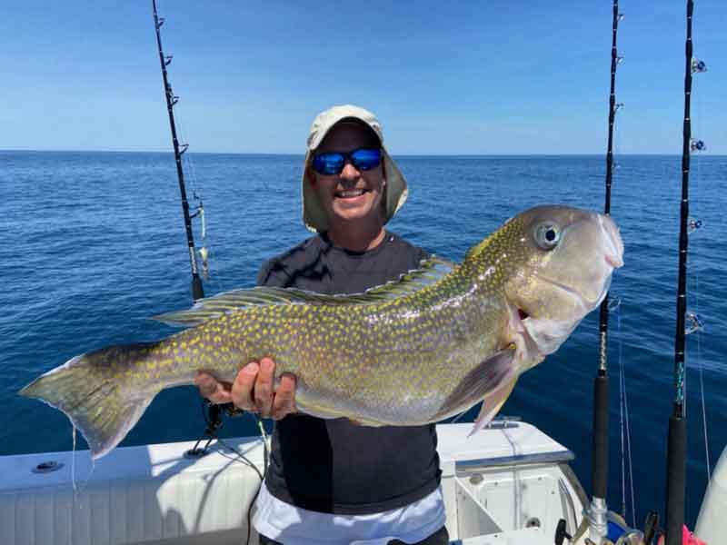 golden tilefish caught