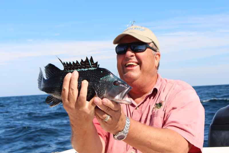 fisherman holds up a sea bass