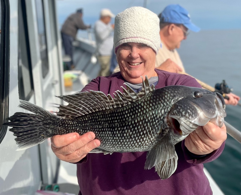 angler with a sea bass on the morning star