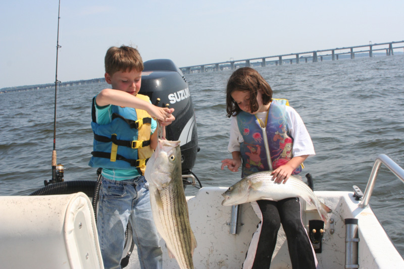 rockfish caught at the sewer pipe