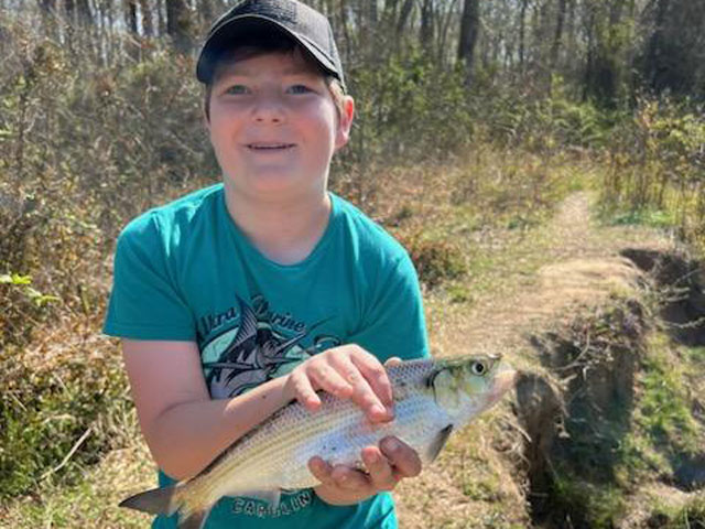 shad fishing on the mattawoman