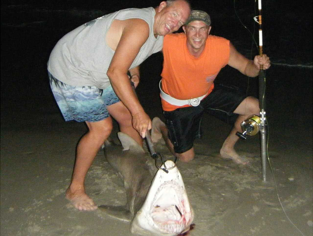 surf fishing for a sand tiger shark