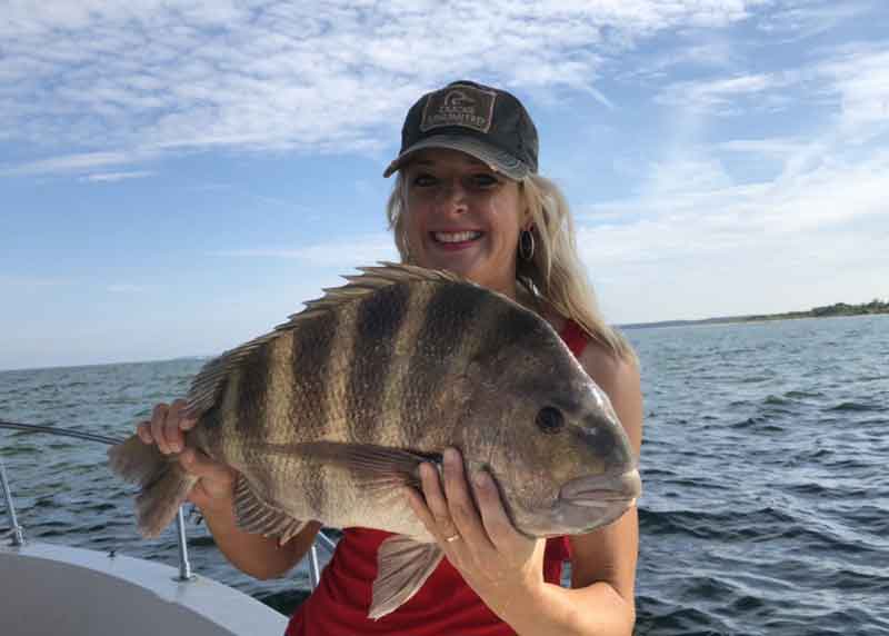 angler caught a sheepshead