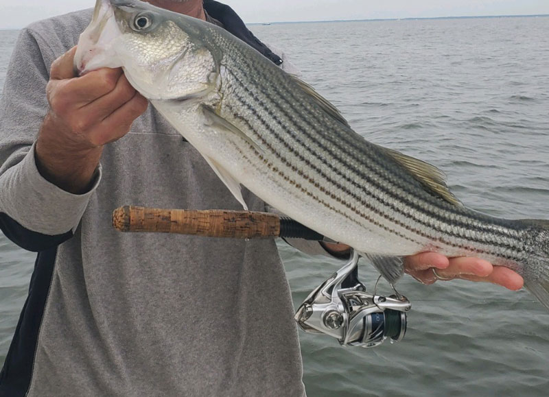 The 10 Best Fishing Reels You Can Buy | FishTalk Magazine The 10 Best Fishing Reels You Can Buy | FishTalk Magazine