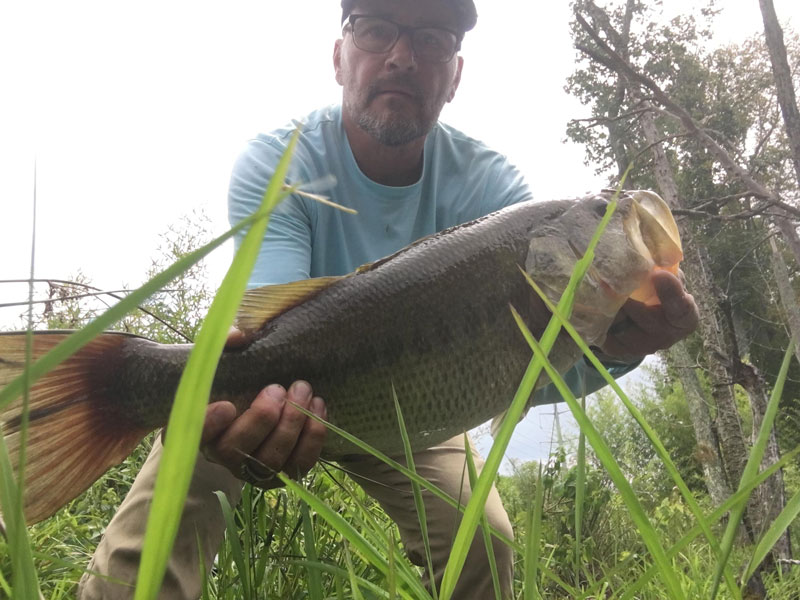 bass caught from shore