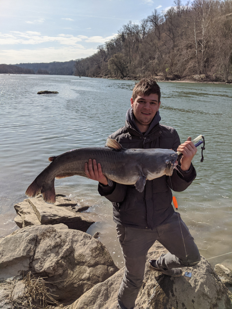 big blue cat caught from shore