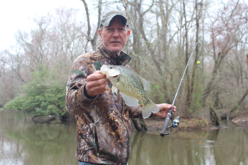 angler fishing from the shoreline