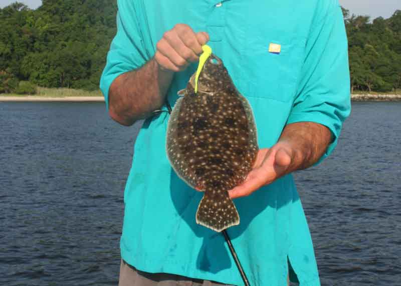 small flounder caught in bay