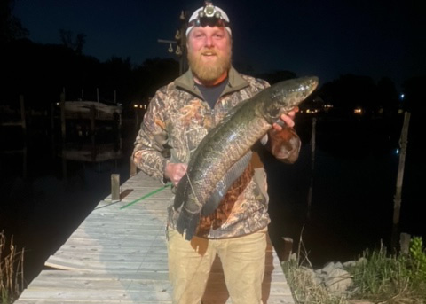 Bowfishing for Snakeheads for Beginners