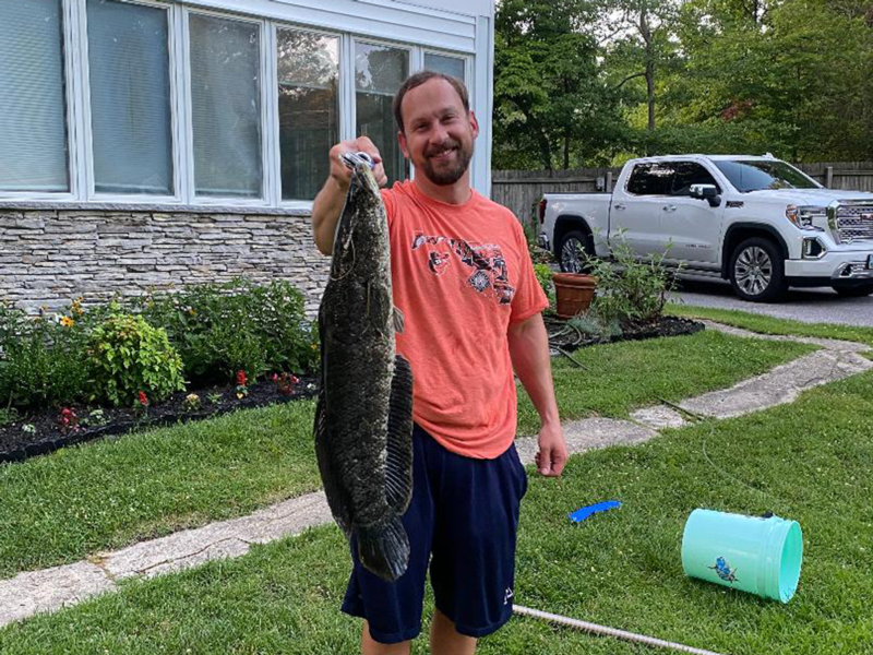 snakehead in rock creek