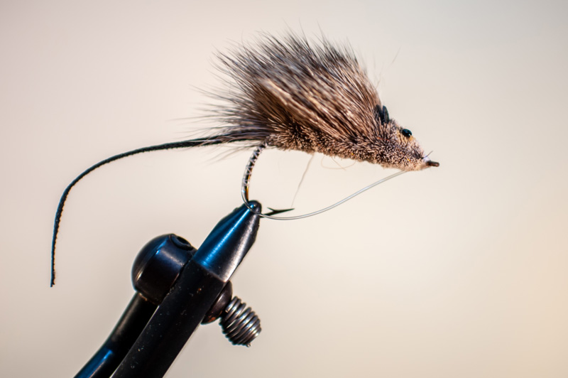 fly for snakehead fishing