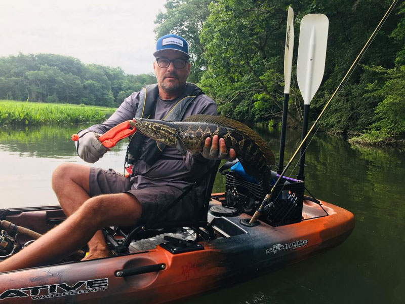 kayak fishing for snakehead