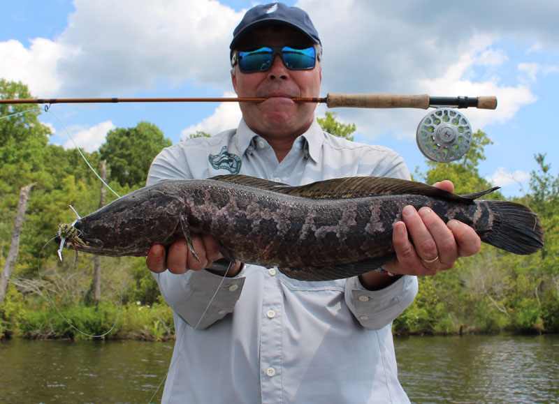 snakehead fishing with a fly rod