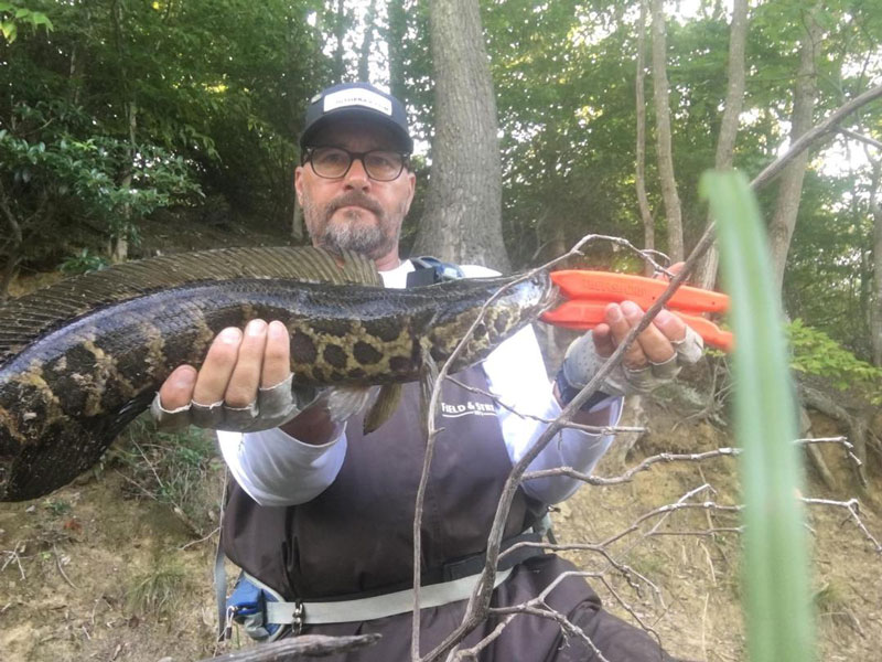 fishing for snakeheads