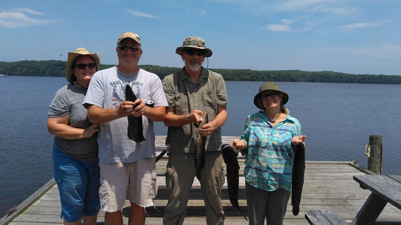 fishing for northern snakeheads