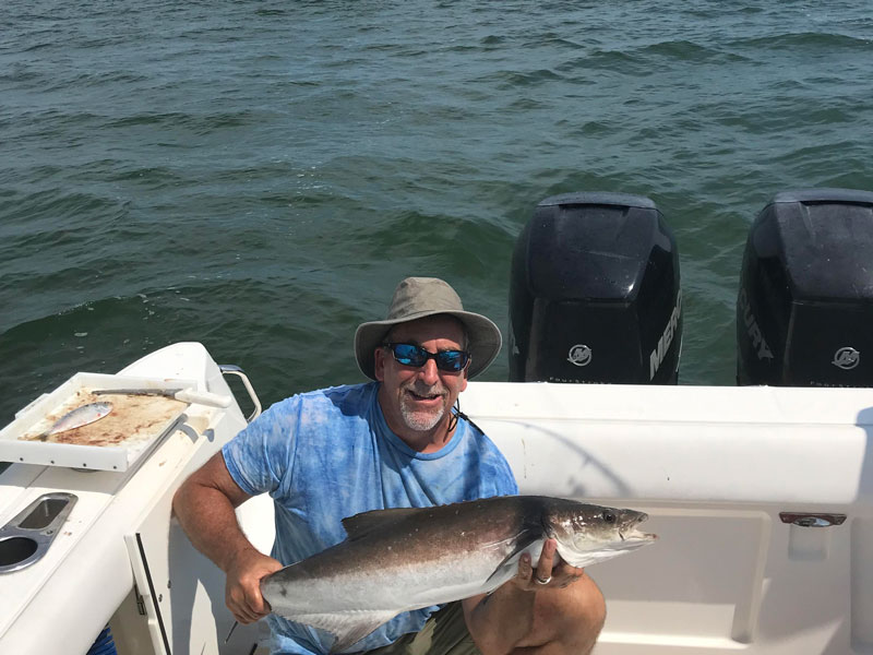 cobia fishing at the mouth of the bay