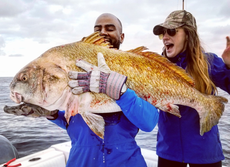 huge black drum in virginia