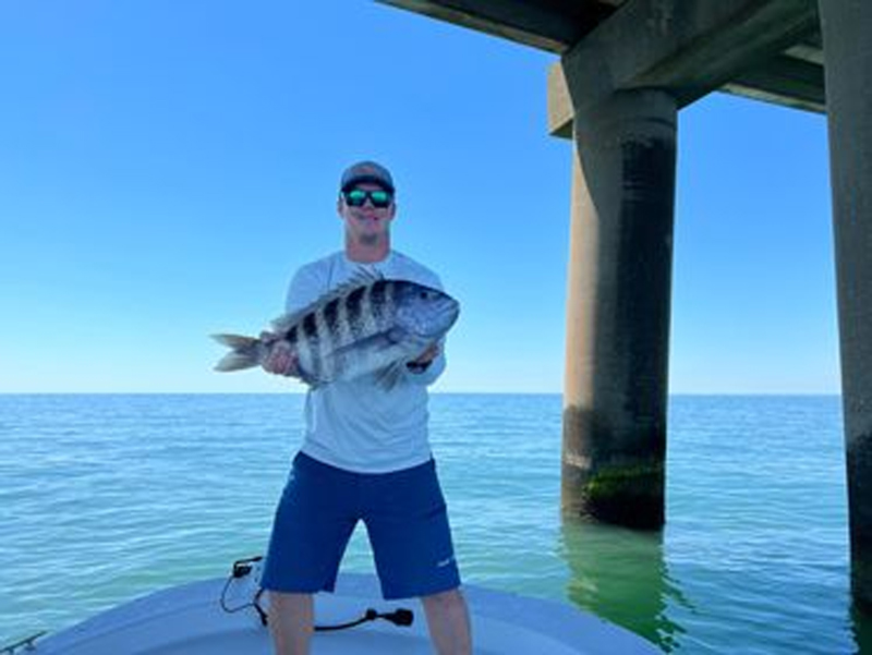 sheepshead at the cbbt