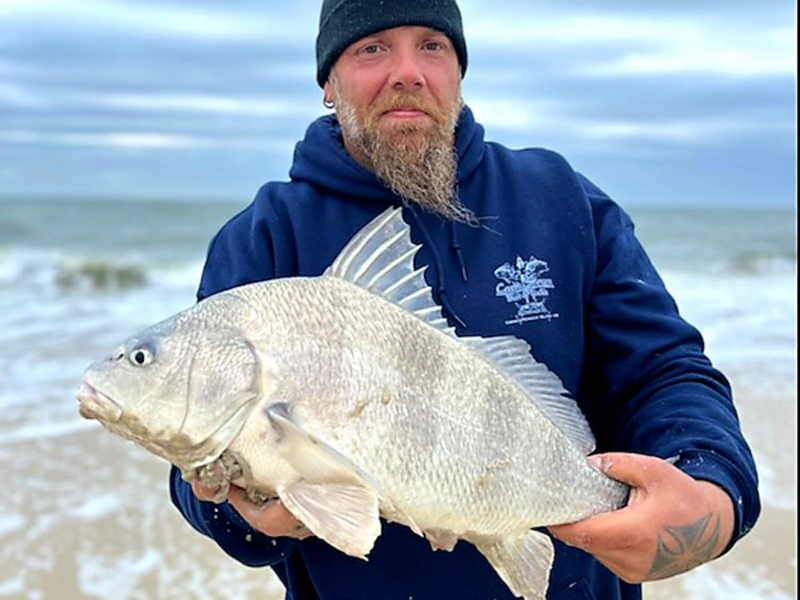 surf fishing for drum