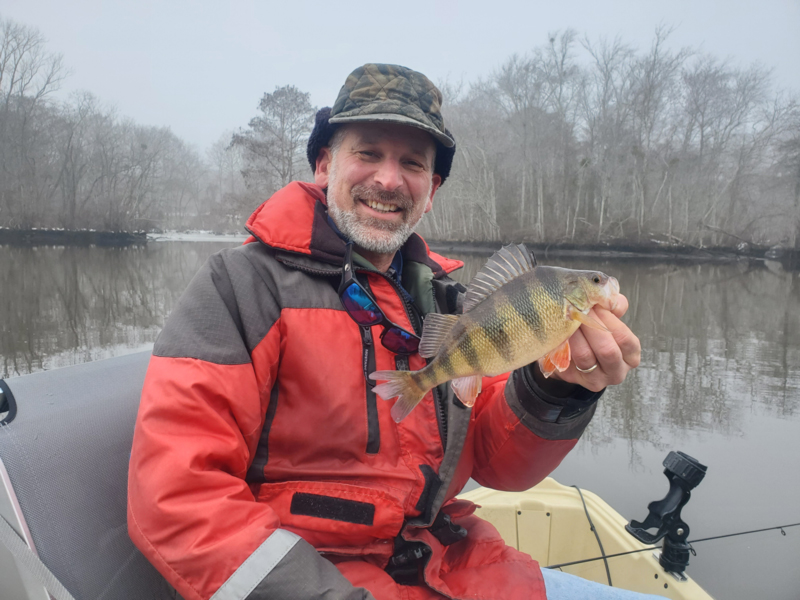 yellow perch angler