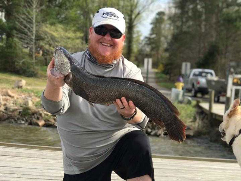 snakehead fishing in virginia