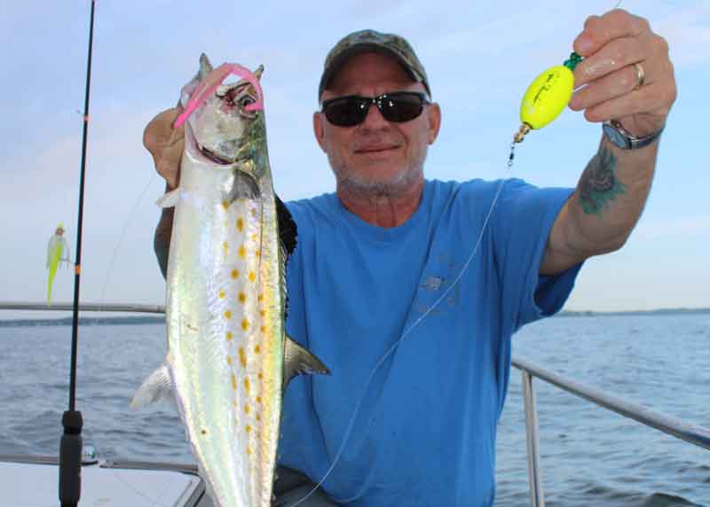 Spanish Mackerel Fishing on Light Tackle