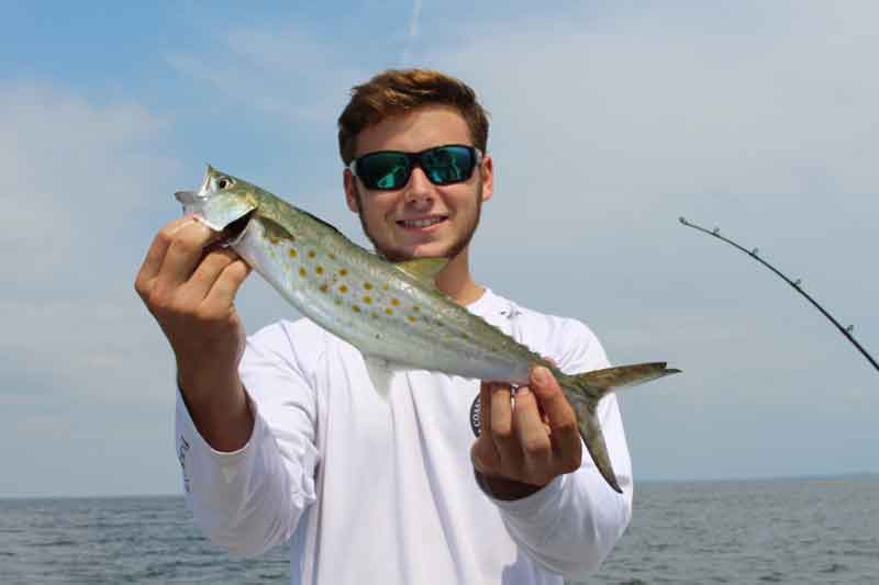fishing for spanish mackerel