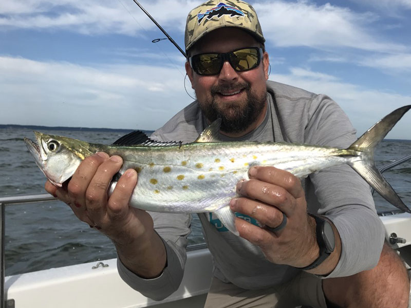 fishing spoons for spanish mackerel