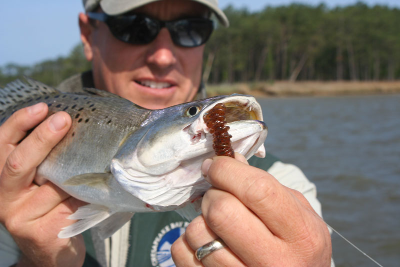 speckled trout fishing