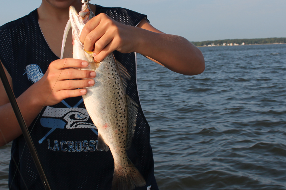 cast and retrieve