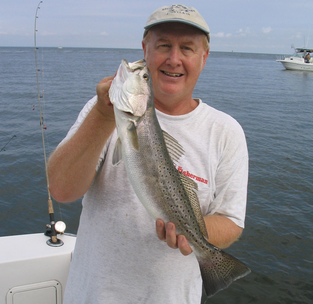 virginia speckled sea trout