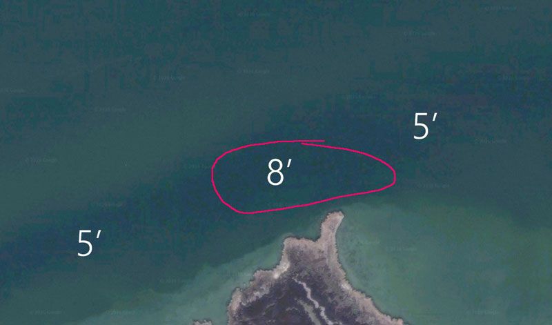 hotspot for summer specks