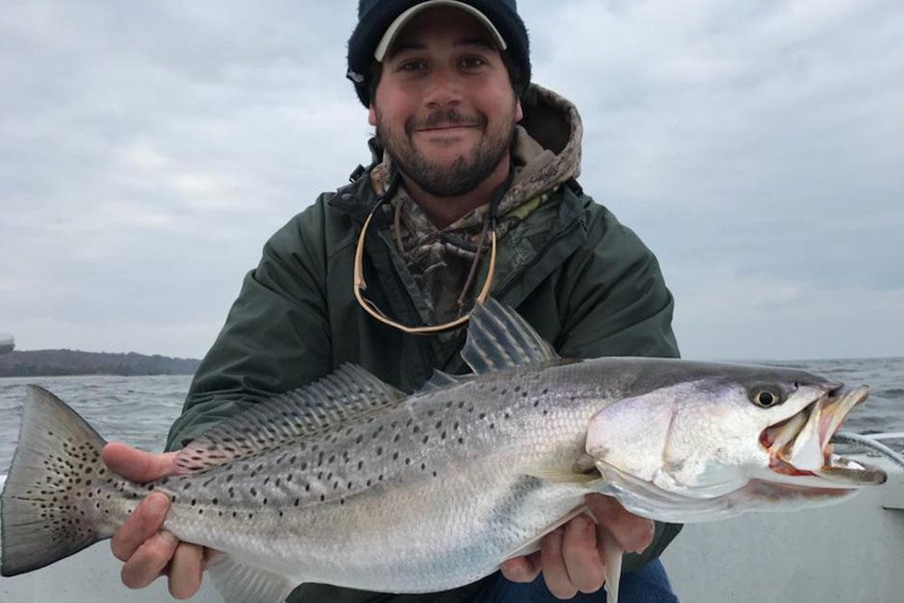 speckled sea trout