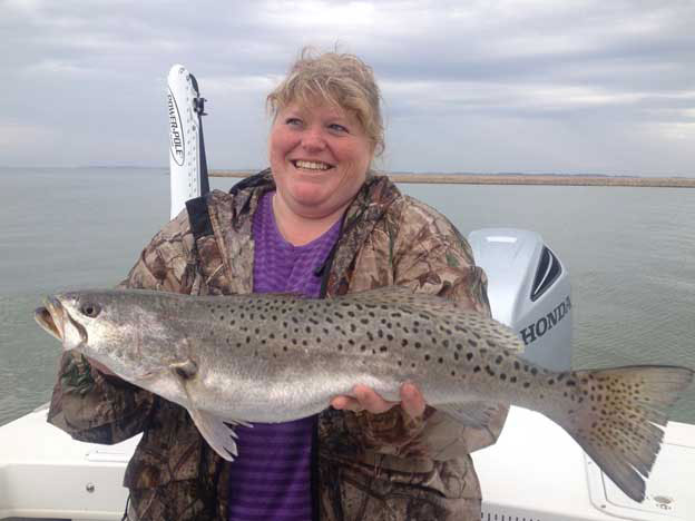 giant speckled sea trout