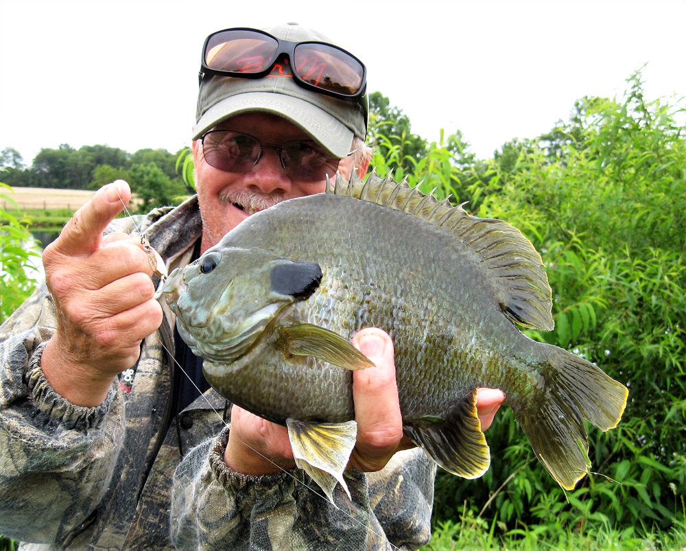 Spoons for Panfish