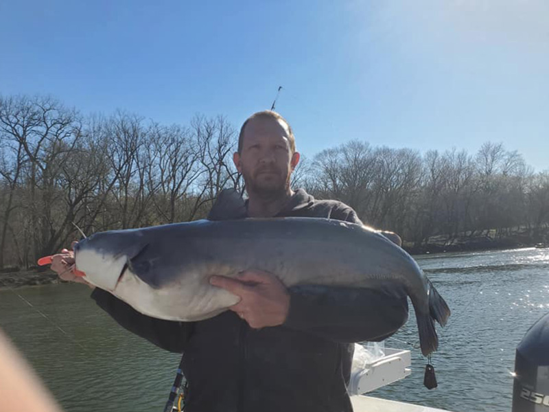 potomac river catfish