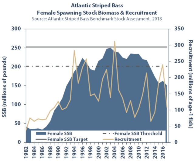 population chart for striped bass