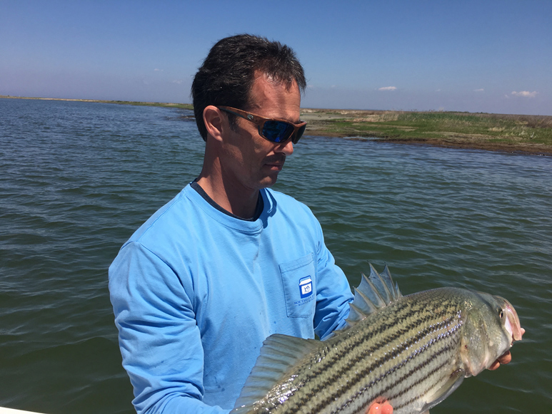 catch and release striper fishing