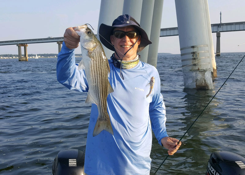 striped bass caught at the bridges