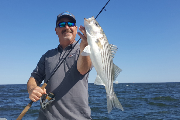 striped bass on jig