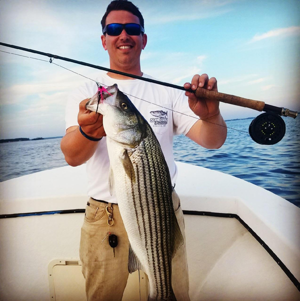 striped bass fly fishing