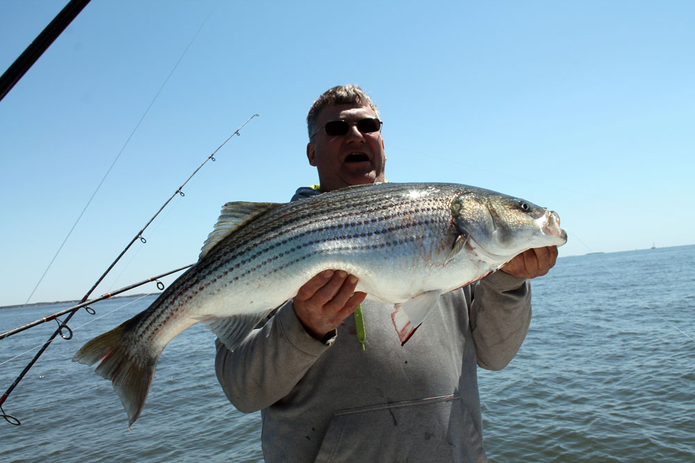 striper fishing