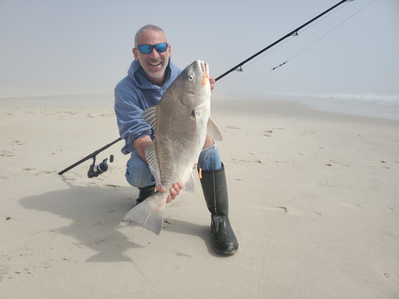 black drum in the surf