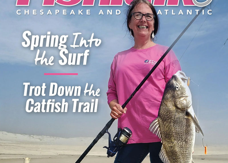 surf fishing black drum on the cover of fishtalk