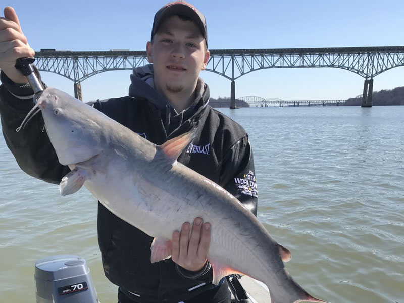 susquhanna river catfish fishing