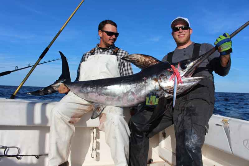 daytime swordfish caught deep dropping